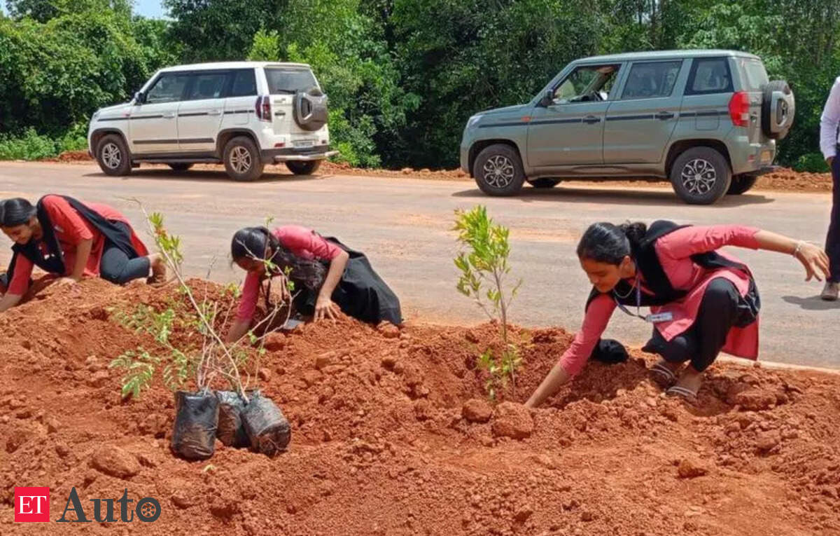 NHAI plans green barriers to curb pedestrian deaths on NH
