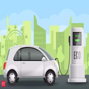 Beyond subsidies: How India's EV sector can achieve long-term success